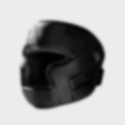 Head Shield